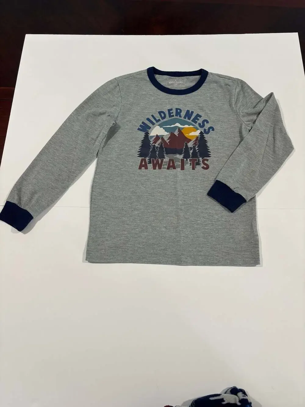 Eddie Bauer Boys Wilderness Awaits Graphic Pajama Set